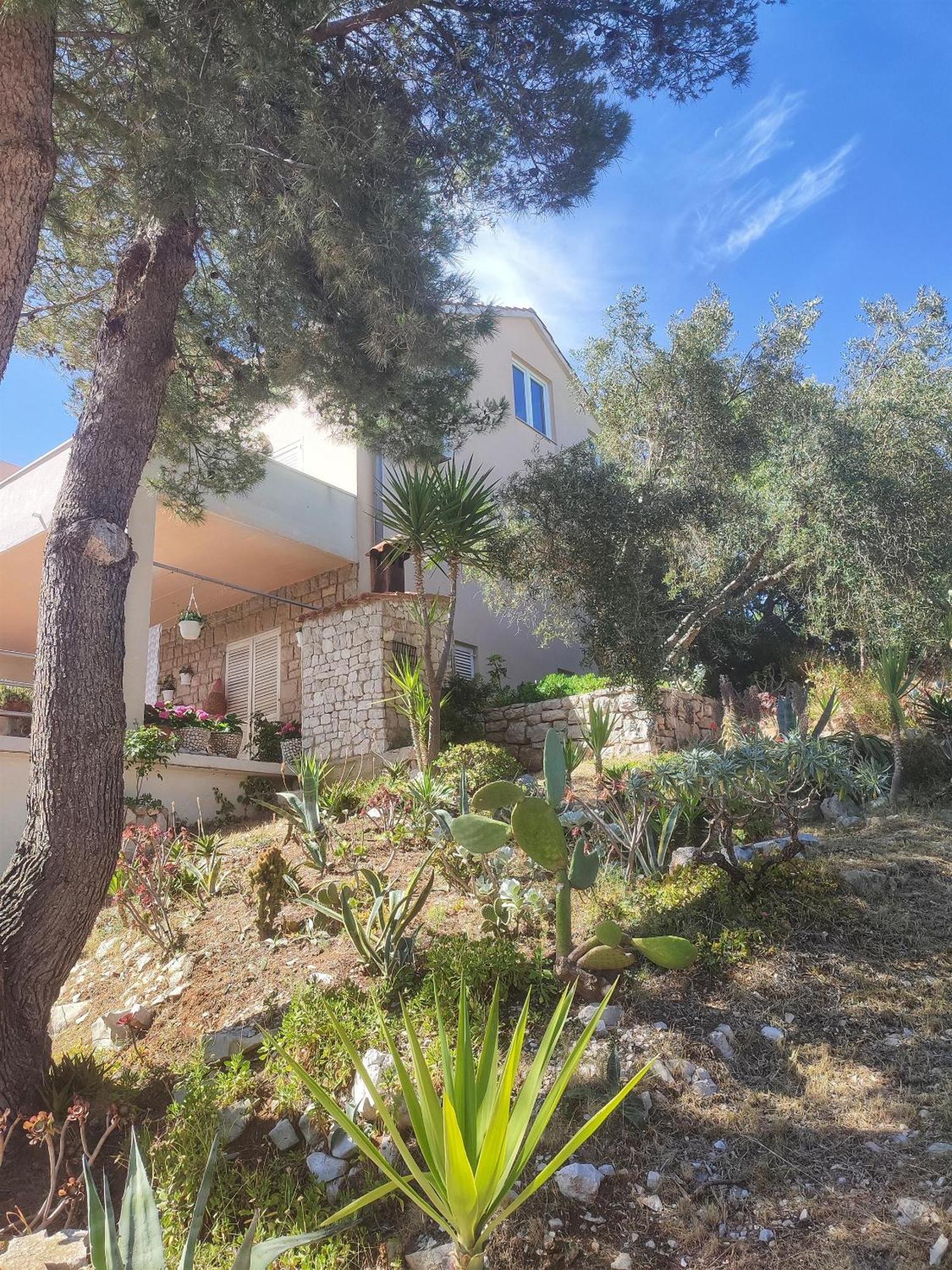 Apartments Vesna Lastovo Zewnętrze zdjęcie